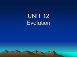 UNIT 11 Evolution