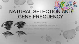 natural selection and gene frequency