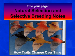Natural Selection and Selective Breeding Notes File