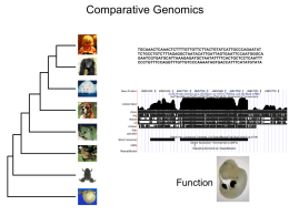 I. Comparing genome sequences