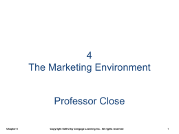 Chapter 4 The Marketing Environment