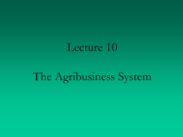 Lecture __. The Agribusiness System
