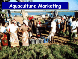 Aquaculture Marketing