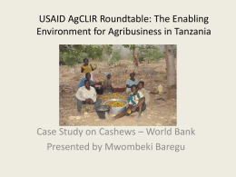 World Bank Cashew Case Study