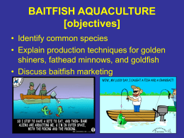 BAITFISH AQUACULTURE [objectives]