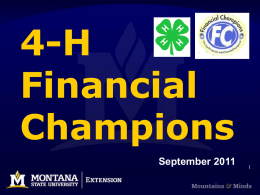 Financial Champions (108 slides)