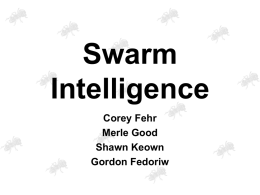 06.1-Swarms