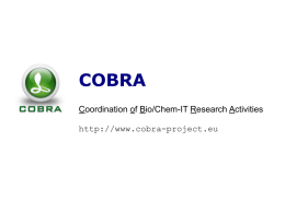 COBRA summary presentation