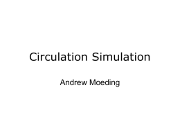 Circulation Simulation