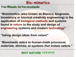 Introduction to Biomimetics