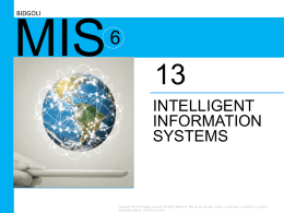 13. Intelligent Information Systems.