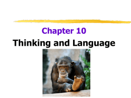 Chapter 10 Thinking and Language