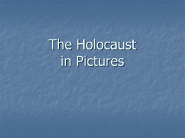 Holocaust in Pictures