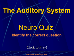 The Auditory System: Quiz Game