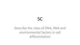 DNA, RNA and Cell Differentiation Questions