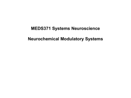 Slide - Systems Neuroscience Course, MEDS 371, Univ. Conn