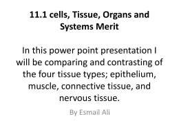 11.1 cells, Tissue, Organs and Systems In this power