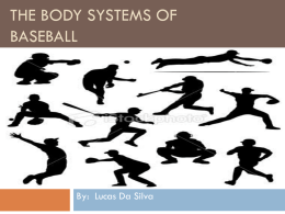 The Body Systems of Baseball
