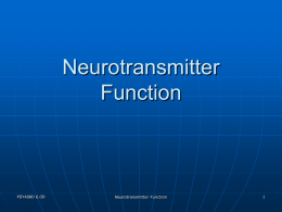 Neurotransmitter Function