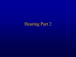 Hearing Part 2 - Pegasus Cc Ucf
