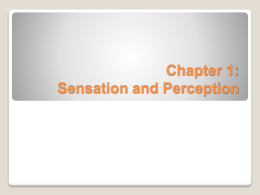 Chapter 1: Introduction to Perception