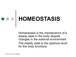 HOMEOSTASIS - The Open Door Web Site : Home Page