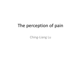 The perception of pain