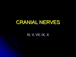 CRANIAL NERVES - University of Kansas Medical Center