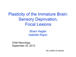 Plasticity of the Immature Brain in Response to Sensory