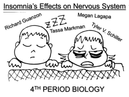 Insomnia’s Effects on The Nervous System