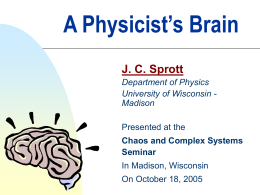 A Physicist's Brain - University of Wisconsin