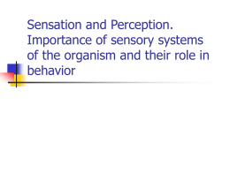Sensory organs and perception