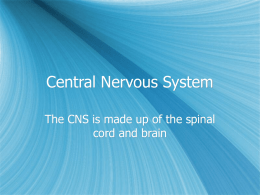 Central Nervous System - Francis Howell High School