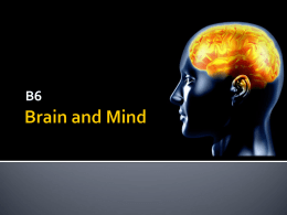 Brain and Mind - mR. MASIGAN Science