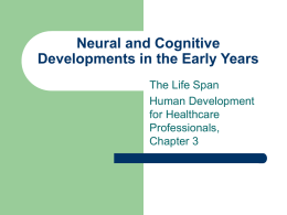 Neural and Cognitive Developments in the Early Years