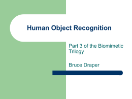 Human Object Recognition