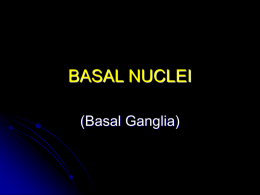 BASAL NUCLEI - University of Kansas