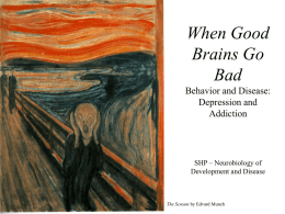 When Good Brains Go Bad Behavior and Disease: Depression