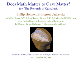 Does Math Matter to Gray Matter? (or, The Rewards of