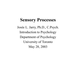 Sensory Processes - University of Toronto