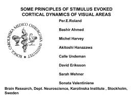 Some Principles of Stimulus Evoked Cortical Dynamics of Visual Areas
