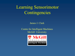 Sensorimotor Contingiencies