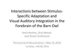 Paper: Interactions between Stimulus
