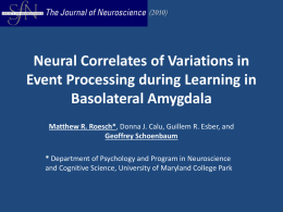 Neural Correlates of Variations in Event Processing during Learning
