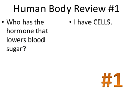 Human Body Review #1