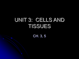unit 3: cells and tissues notes