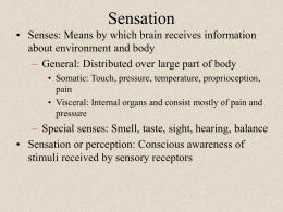 Senses presentation