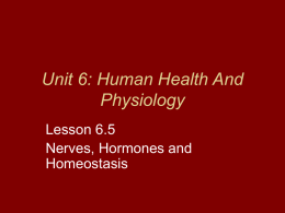 Unit 6: Human Health And Physiology