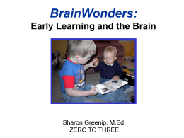 Brain Wonders. Early Learning and the Brain