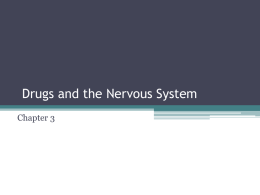 Chapter 3: The Nervous System